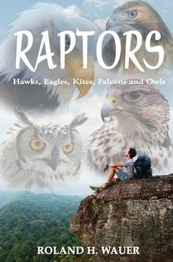 [预订]Raptors: Hawks, Eagles, Kites, Falcons and Owls 9781958091593
