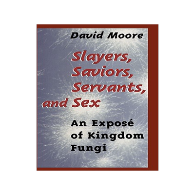 预订 Slayers, Saviors, Servants and Sex