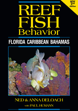 【预订】Reef Fish Behavior - Florida Caribbean Bahamas - 2nd Edition