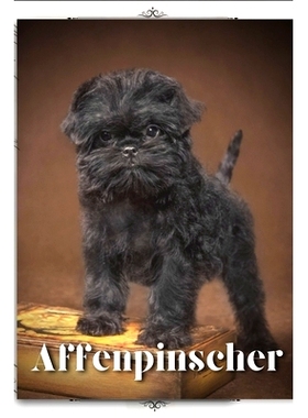 预订 Affenpinscher: Dog breed overview and guide: 9798864516553