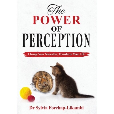 预订 The Power of Perception: Change your Narrative, Transform your Life 9781913266264