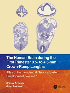 【预订】The Human Brain during the First Trimester 3.5- to 4.5-mm Crown-Rump 9781032183251