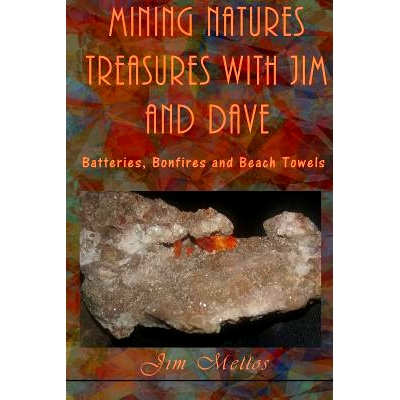 预订 Mining Natures Treasures with Jim and Dave: Batteries, Bonfires and Beach Towels: 9781547225699