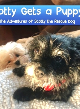 预订 Scotty Gets a Puppy: The Adventures of Scotty the Rescue Dog: 9781087922164