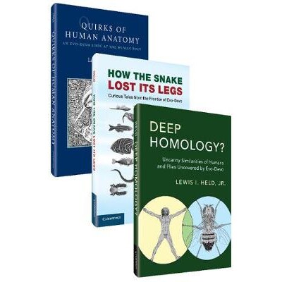Quirks of Human Anatomy, How the Snake L
