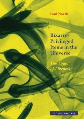 [预订]Bizarre-Privileged Items in the Universe - The Logic of Likeness 9781942130468