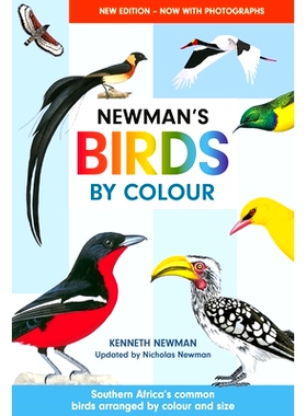 预订 Newman’s Birds by Colour: Southern Africa’s Common Birds Arranged by Colour and Size: 9781775848370