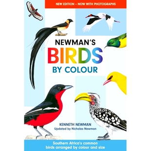 预订 Newman’s Birds by Colour: Southern Africa’s Common Birds Arranged by Colour and Size: 9781775848370