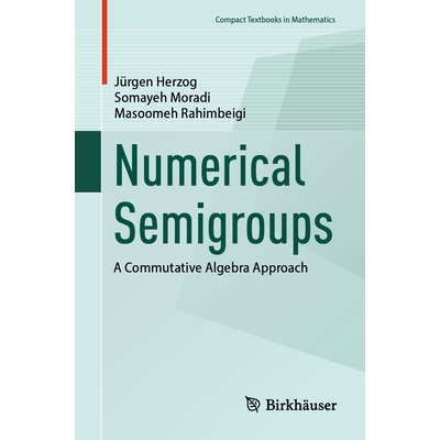预订 Numerical Semigroups A Commutative Algebra Approach 数值半群：交换代数方法 9783032054234