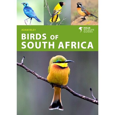 预订 Birds of South Africa 南非鸟类: 9781472990808
