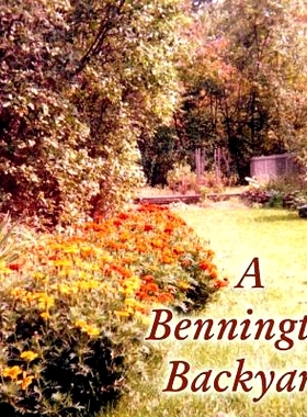 预订 A Bennington Backyard: 9781491071809
