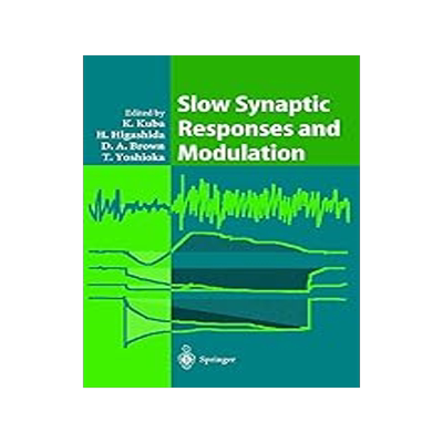 预订 Slow Synaptic Responses and Modulation