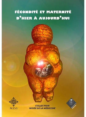 预订 Fécondité et maternité d’hier à aujourd’hui 从昨天到今天的生育和母性: 9782807002012