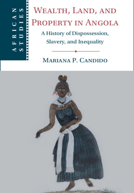 【预订】Wealth, Land, and Property in Angola 9781009055987