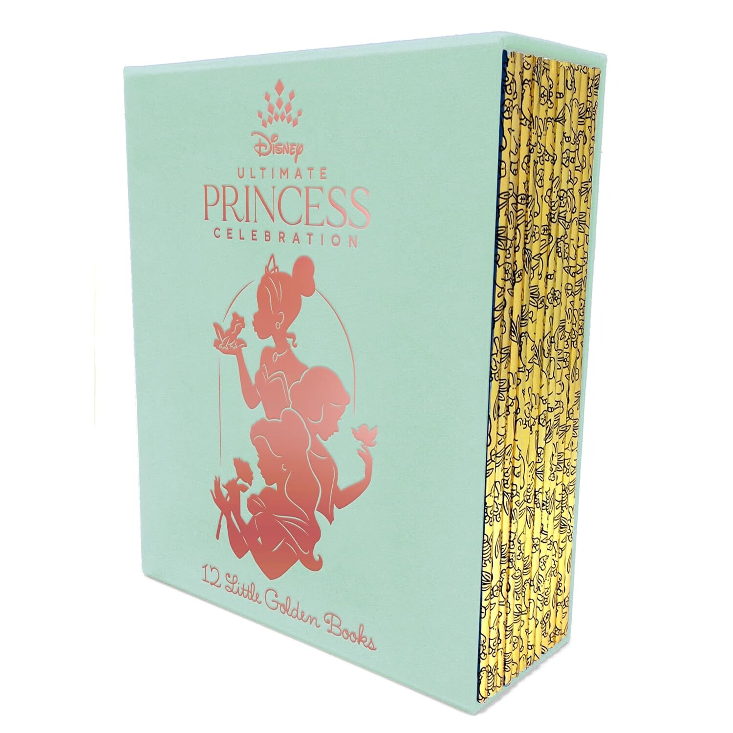 现货 迪士尼公主 小金书12册套装 礼品书 英文原版 Ultimate Princess Boxed Set of 12 Little Golden Books (Disney Princess)