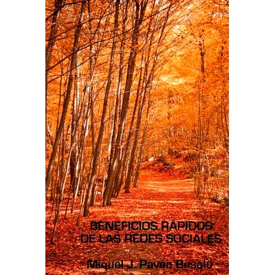 预订 Beneficios Rapidos de Las Redes Sociales: 9781478229001
