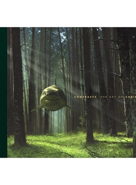 预订 Contrasts: The Art of Chris Austin: 9781952251405