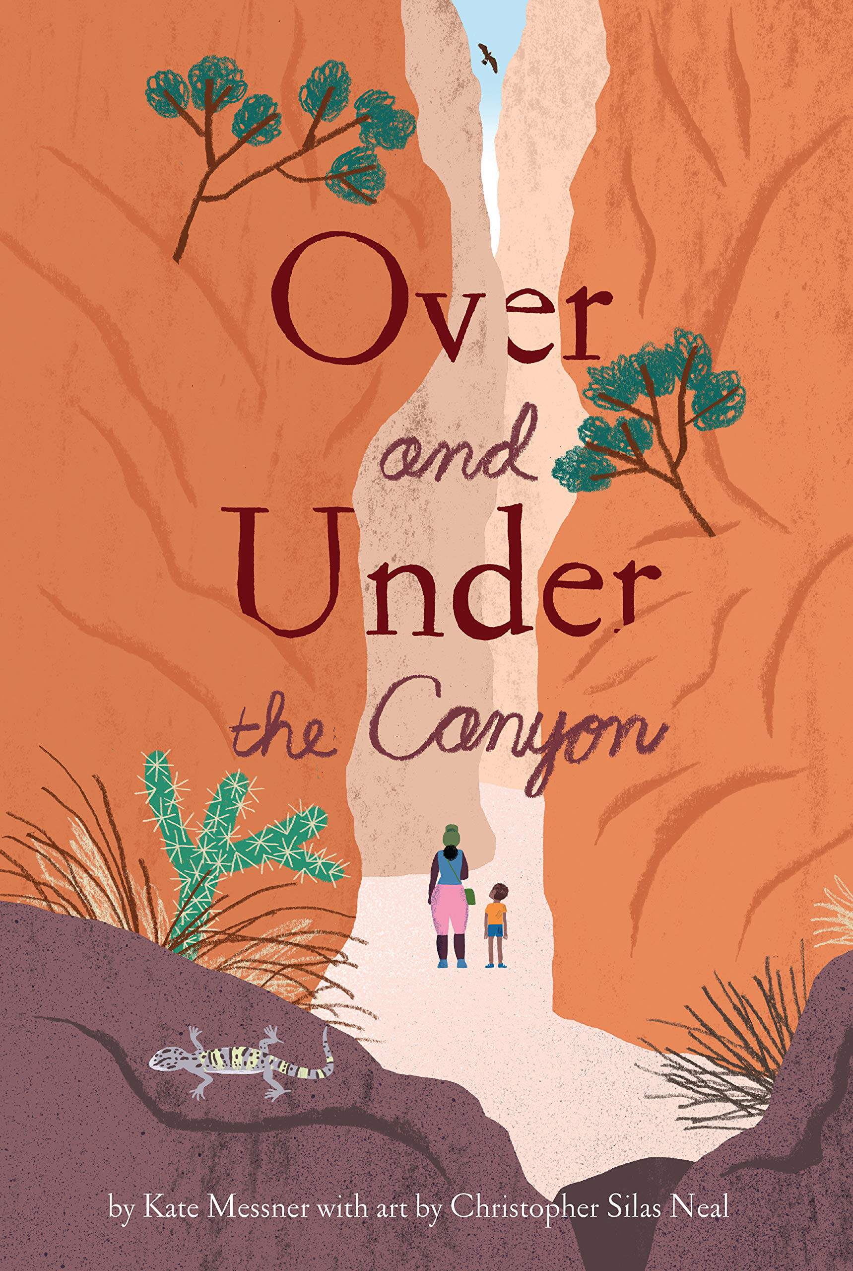 峡谷上下 Christopher Silas Neal插画 精装儿童科普绘本 STEM 英文原版 Over and Under the Canyon