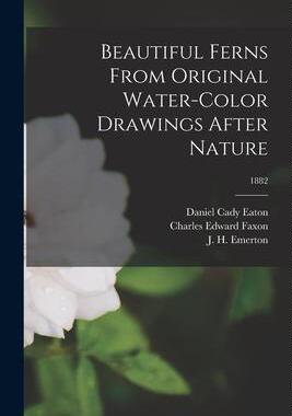 [预订]Beautiful Ferns From Original Water-color Drawings After Nature; 1882 9781014334633