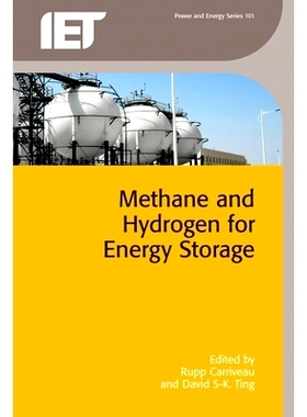 预订 Methane and Hydrogen for Energy Storage 甲烷和氢储能: 9781785611933