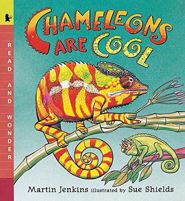 【预售】Chameleons Are Cool: Read and Wonder...