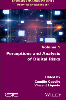 [预订]Perceptions and Analysis of Digital Risks