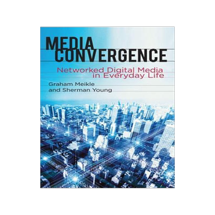 [预订]Media Convergence 9780230228948