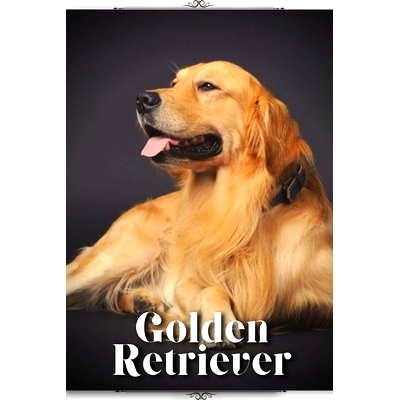 预订 Golden Retriever: Dog Breed guide: 9798395427656