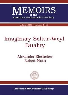 【预售】Imaginary Schur-Weyl Duality
