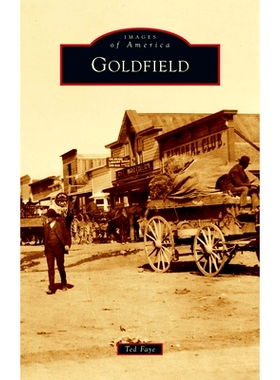 预订 Goldfield: 9781540257529