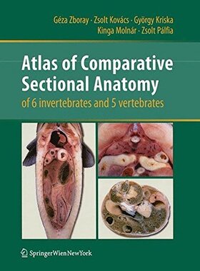 【预订】Atlas of Comparative Sectional Anatomy of 6 invertebrates and 5 vertebrates