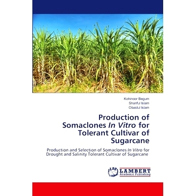 预订 Production of Somaclones In Vitro for Tolerant Cultivar of Sugarcane 甘蔗耐受性品种体细胞无性系的体外生产: 97862074