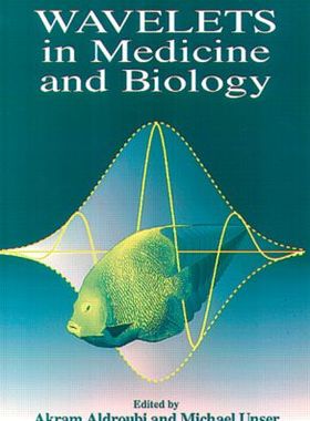 【预订】Wavelets in Medicine and Biology