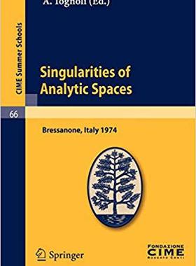 【预订】Singularities of Analytic Spaces 9783642109423