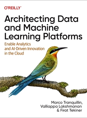 预订 Architecting Data and Machine Learning Platforms: Enable Analytics and Ai-Driven Innovation in the Cloud 构建数据和
