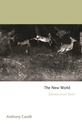 【预订】The New World: Infinitesimal Epics 9780691218793