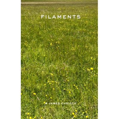 预订 Filaments: 9798218367282