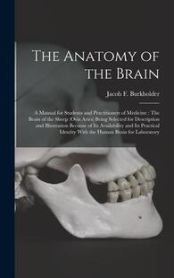 for Shee and Brain the Students 预订 Anatomy The Medicine 9781017138573 Practitioners Manual