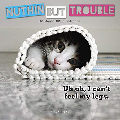 美国库房发货,通常付款后5-8周到货!