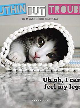 【预售】Nuthin’ but Trouble 2020 Mini Wall Calendar