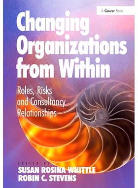 预订 Changing Organizations from Within: Roles, Risks and Consultancy Relationships 从内部改变组织：角色、风险与咨询关系