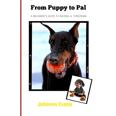 预订 From Puppy to Pal: A Beginner’s Guide to Raising a Doberman: 9798325028472