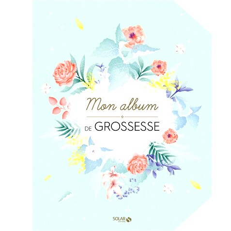 预订 Mon album de grossesse 我的怀孕相册: 9782263160479