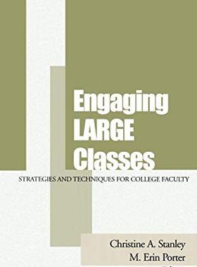【预售】Engaging Large Classes