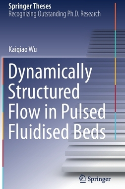 【预订】Dynamically Structured Flow in Pulsed Fluidised Beds