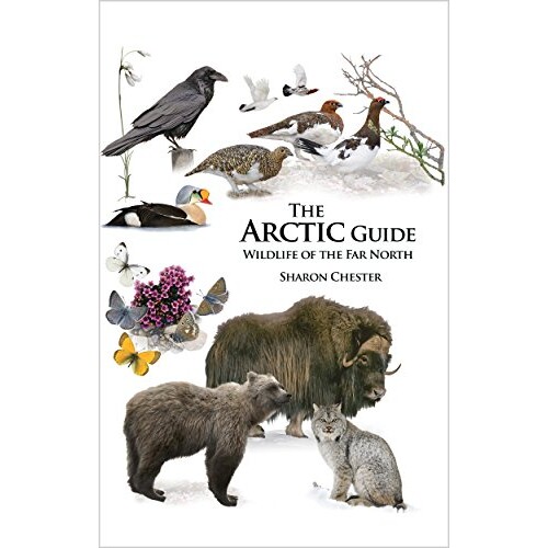 The Arctic Guide Wildlife of the Far North 北极圈指南:极北地区野生生物(平装) 9780691139753