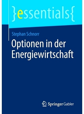 预订 Optionen in der Energiewirtschaft: 9783658304645