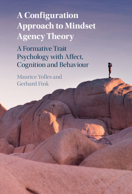【预订】A Configuration Approach to Mindset Agency Theory