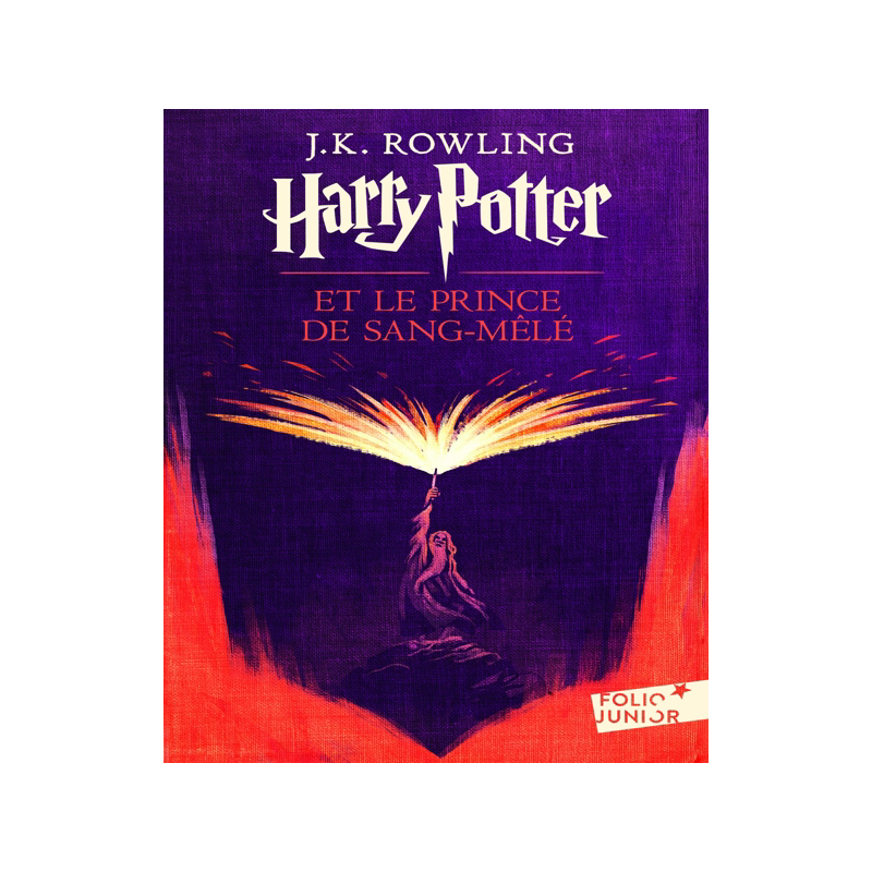 法语原版 哈利波特与混血王子 初版封面 绝版 J.K.罗琳 Harry Potter VI Harry Potter et le Prince de Sang-Mêlé