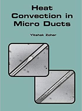 【预订】Heat Convection in Micro Ducts 9781441953209